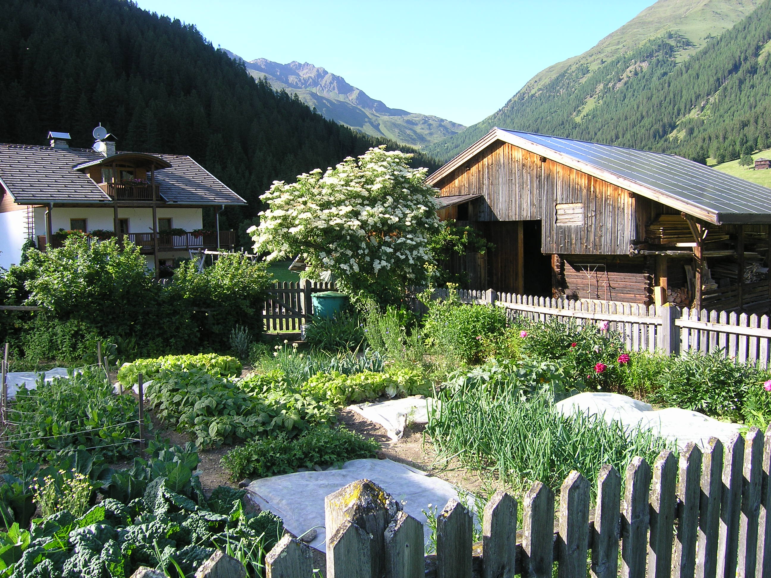 Grandmother's cottage garden